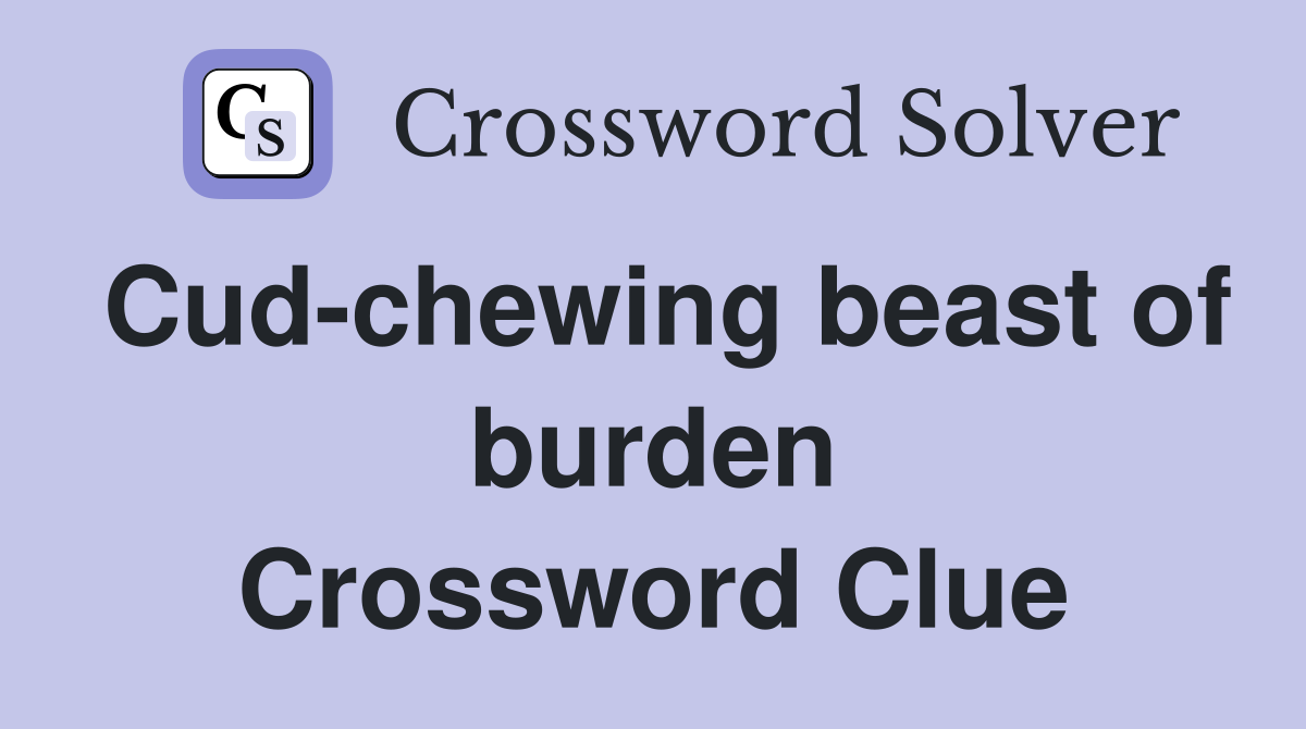 Cud-chewing beast of burden Crossword Clue