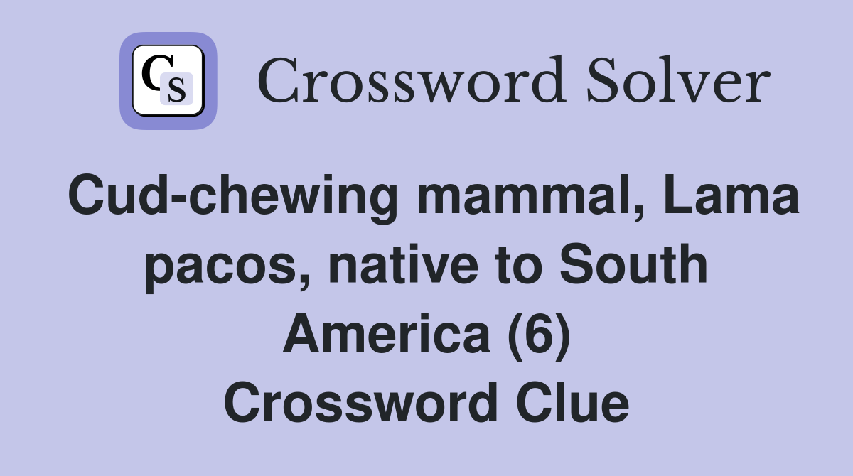 Cud-chewing mammal, Lama pacos, native to South America (6) Crossword Clue