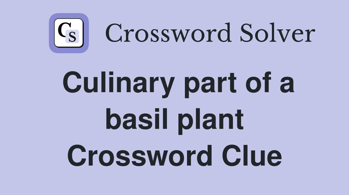 Culinary part of a basil plant Crossword Clue