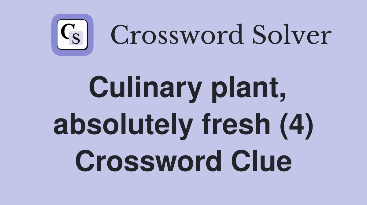 Culinary plant, absolutely fresh (4) Crossword Clue