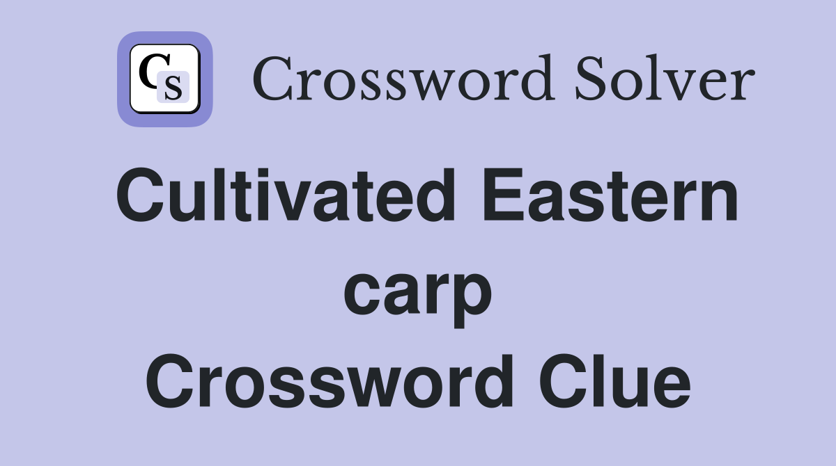 Cultivated Eastern carp Crossword Clue