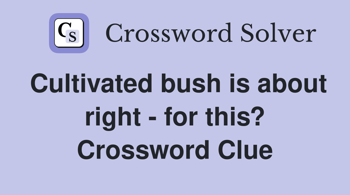 Cultivated bush is about right - for this? Crossword Clue