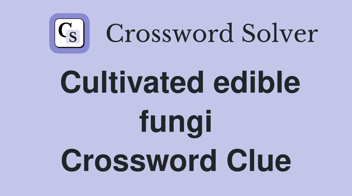 Cultivated edible fungi Crossword Clue