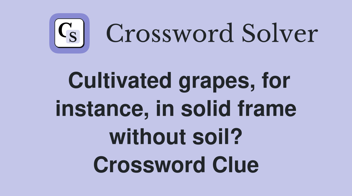 Cultivated grapes, for instance, in solid frame without soil? Crossword Clue