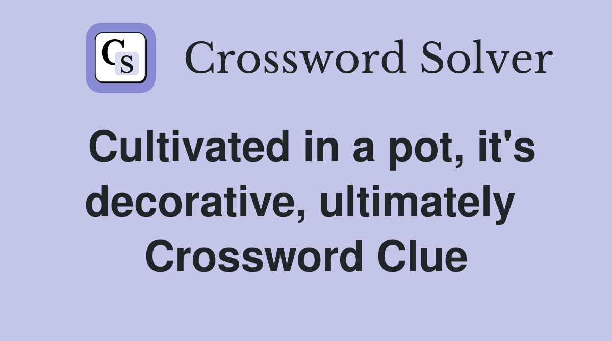 Cultivated in a pot, it's decorative, ultimately  Crossword Clue