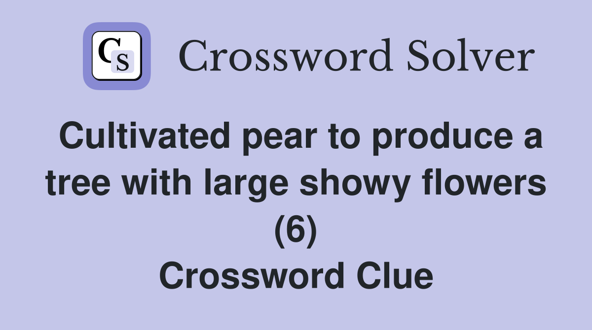Cultivated pear to produce a tree with large showy flowers (6) Crossword Clue