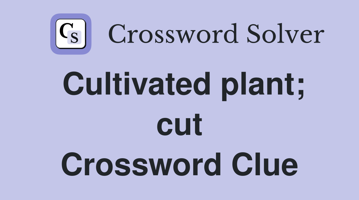 Cultivated plant; cut Crossword Clue