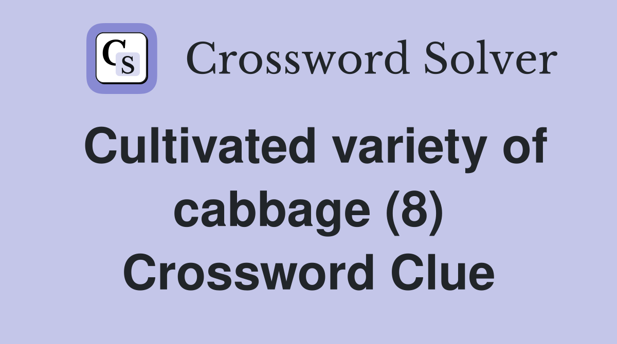 Cultivated variety of cabbage (8) Crossword Clue
