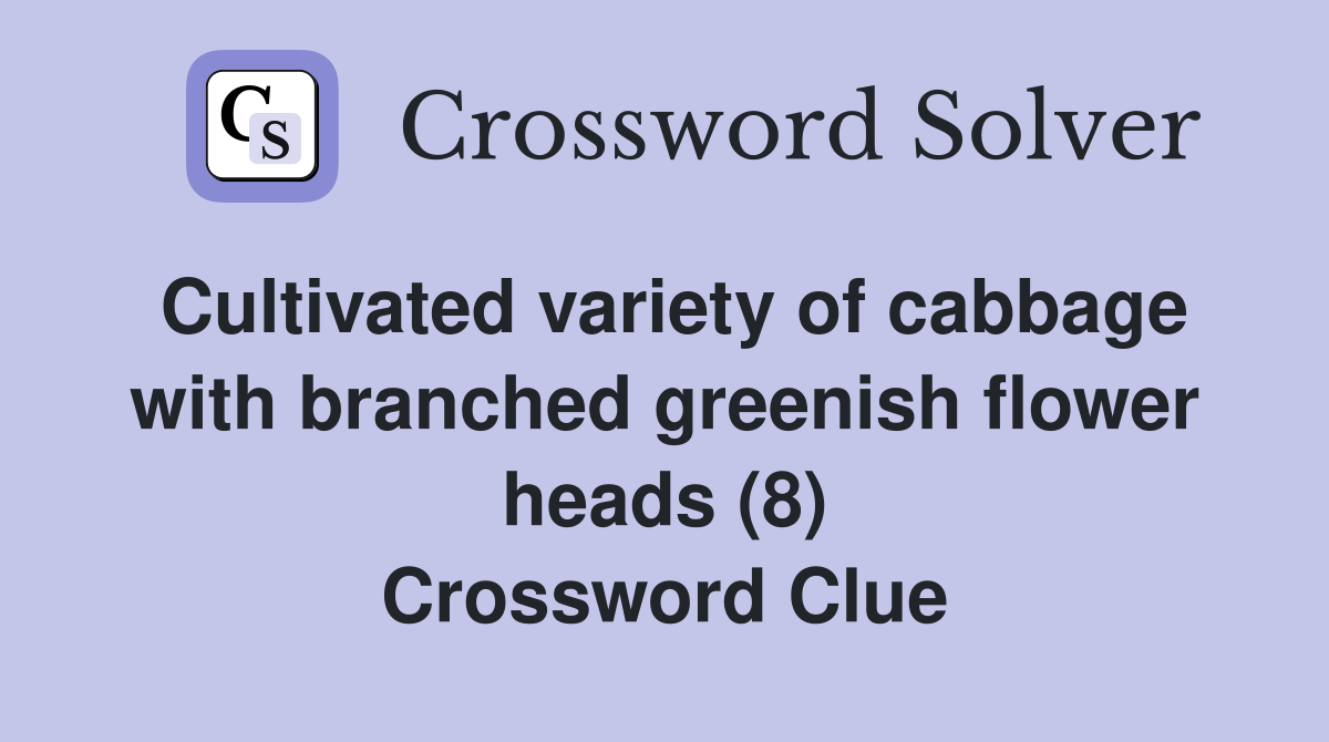 Cultivated variety of cabbage with branched greenish flower heads (8) Crossword Clue