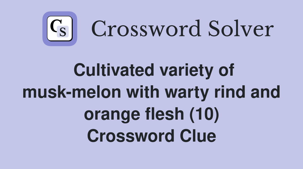 Cultivated variety of musk-melon with warty rind and orange flesh (10) Crossword Clue