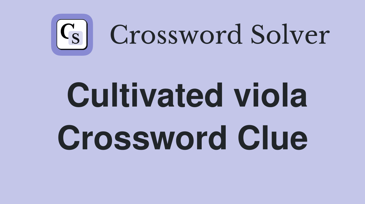 Cultivated viola Crossword Clue