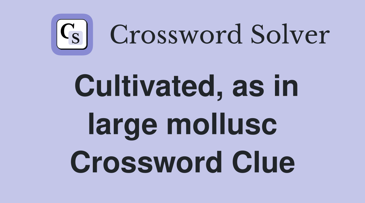 Cultivated, as in large mollusc Crossword Clue