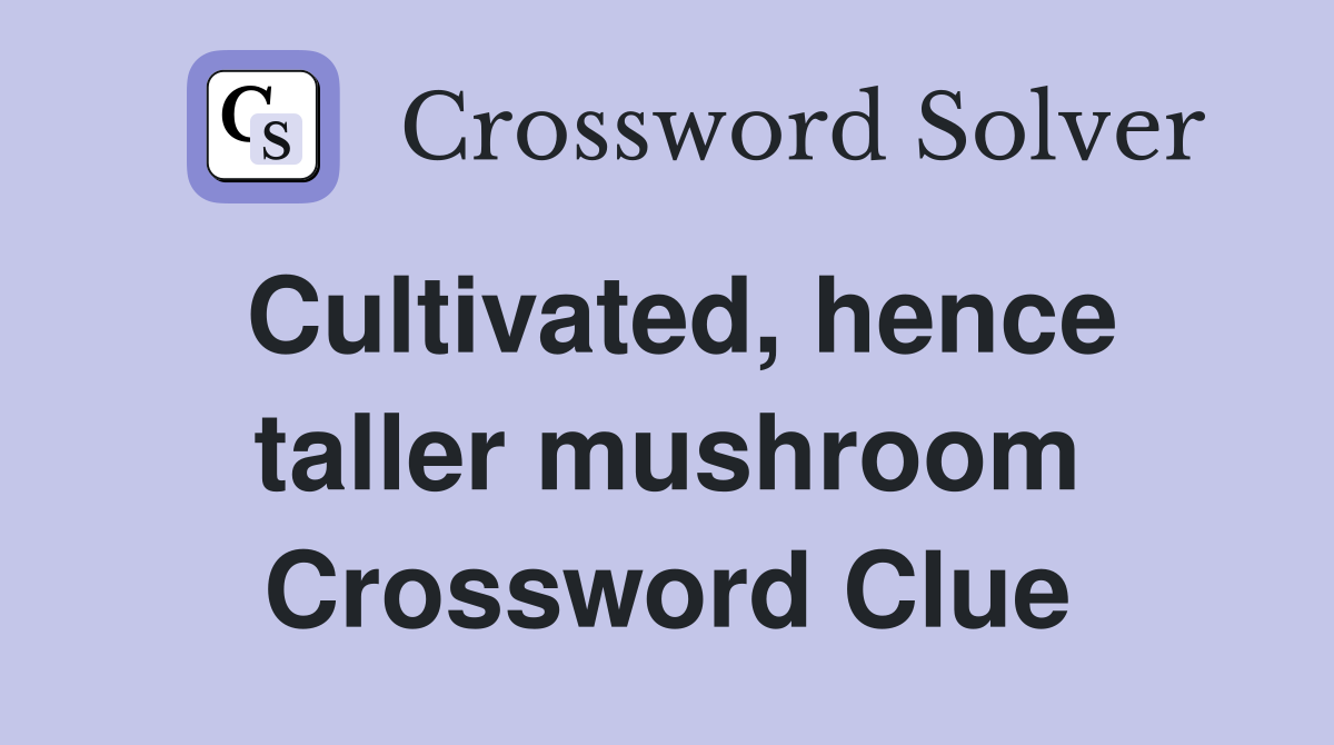 Cultivated, hence taller mushroom Crossword Clue