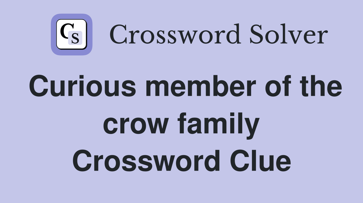 Curious member of the crow family Crossword Clue