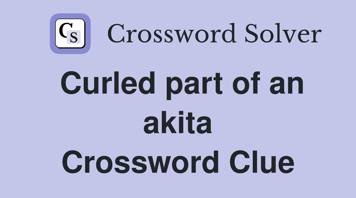 Curled part of an akita Crossword Clue