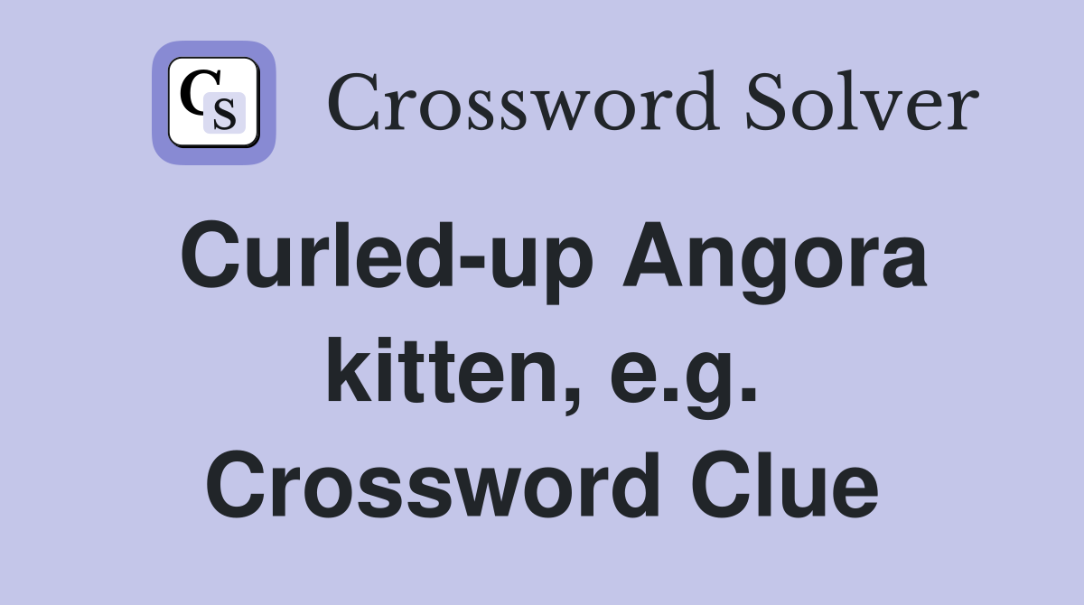 Curled-up Angora kitten, e.g. Crossword Clue