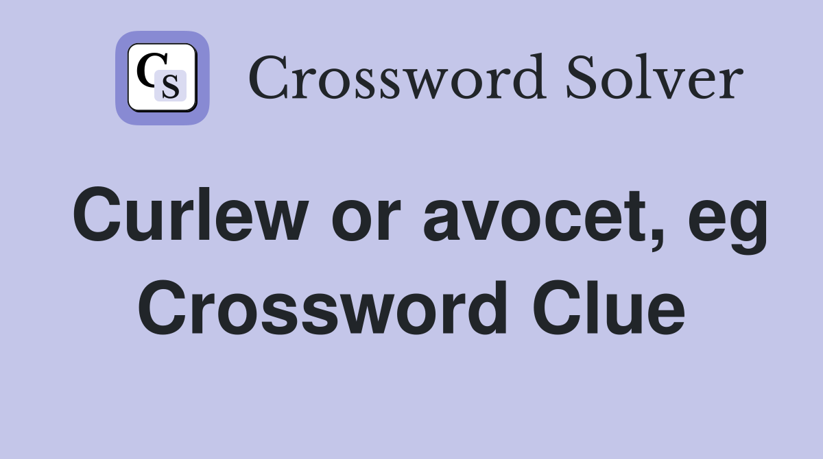 Curlew or avocet, eg Crossword Clue