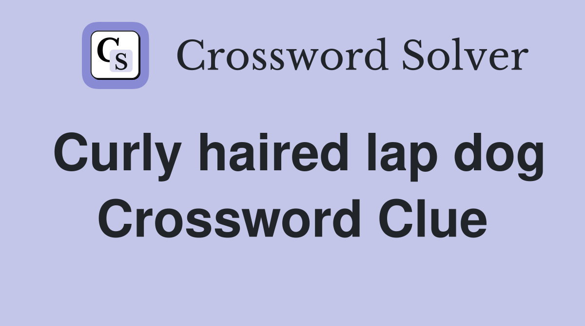 Curly haired lap dog Crossword Clue