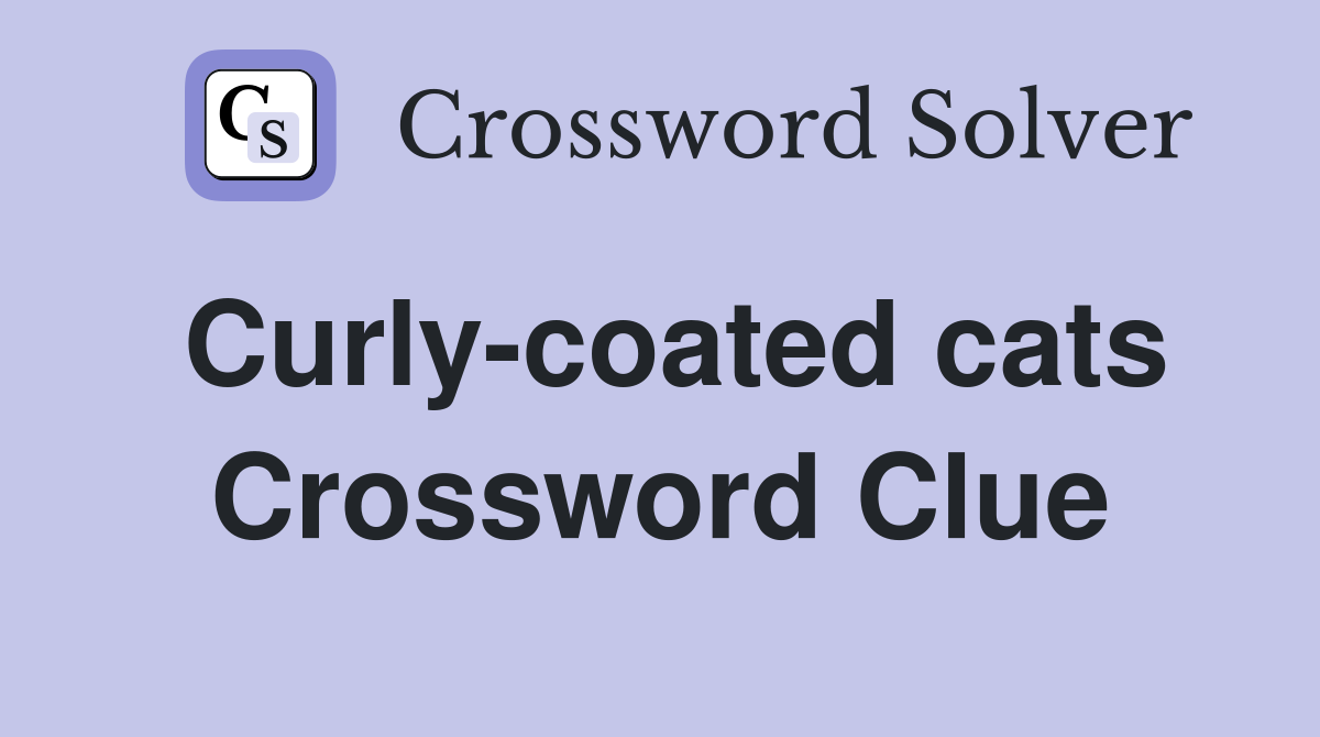 Curly-coated cats Crossword Clue