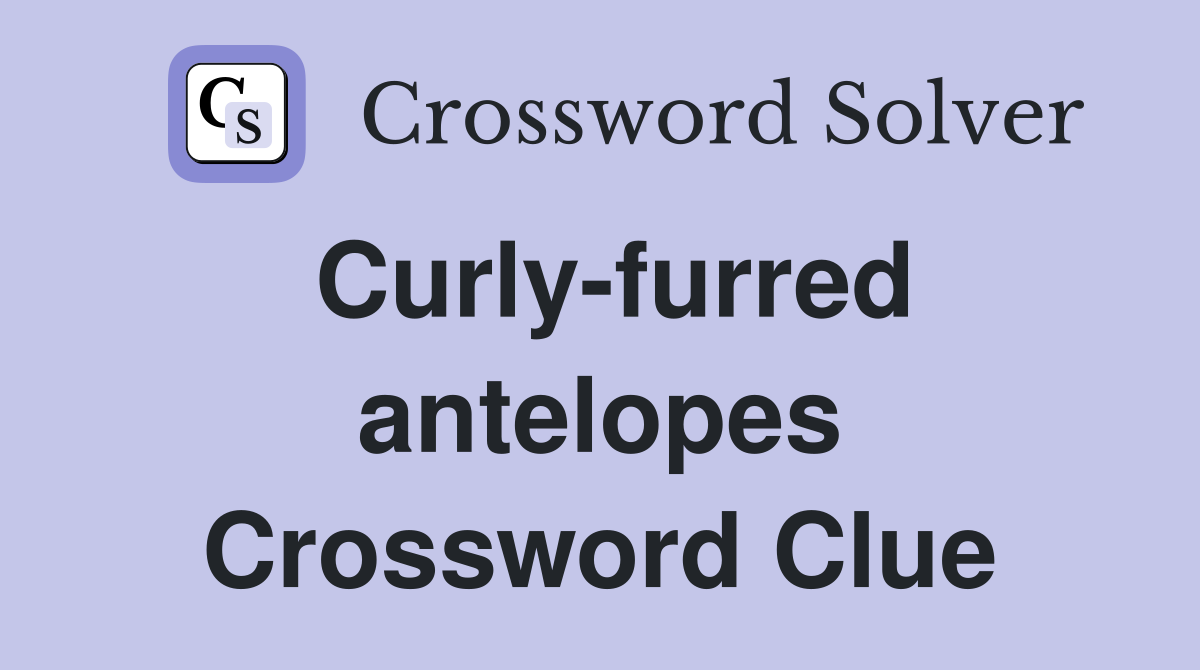 Curly-furred antelopes Crossword Clue
