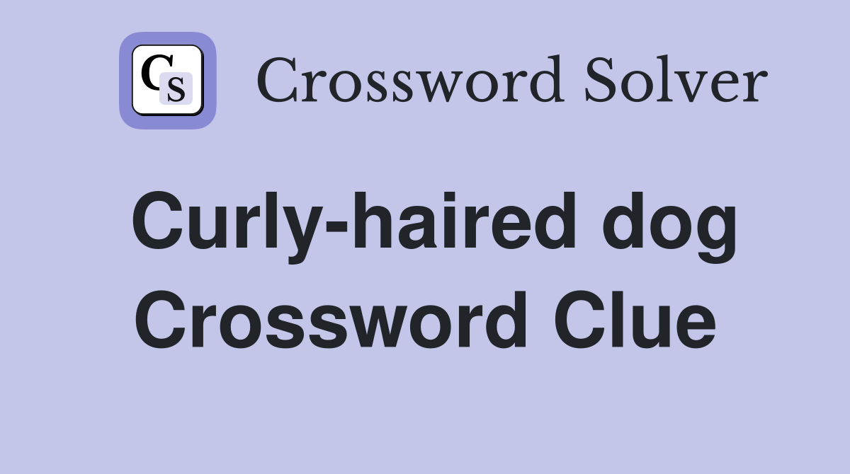 Curly-haired dog Crossword Clue