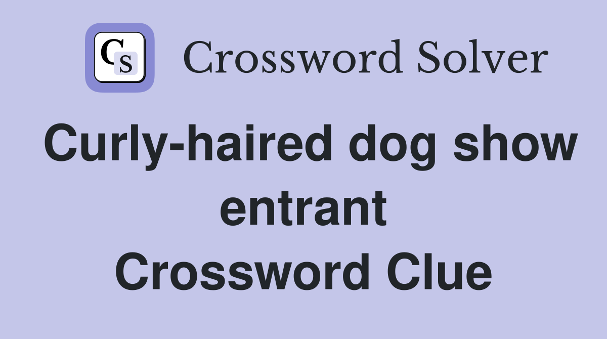 Curly-haired dog show entrant Crossword Clue
