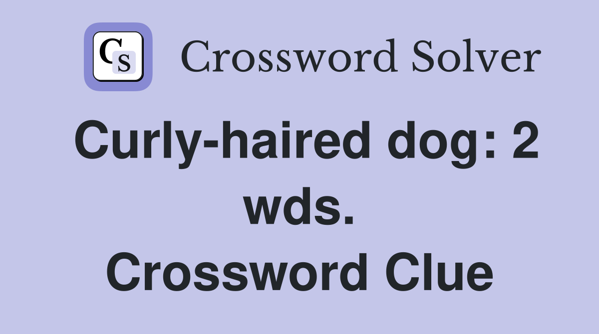 Curly-haired dog: 2 wds. Crossword Clue