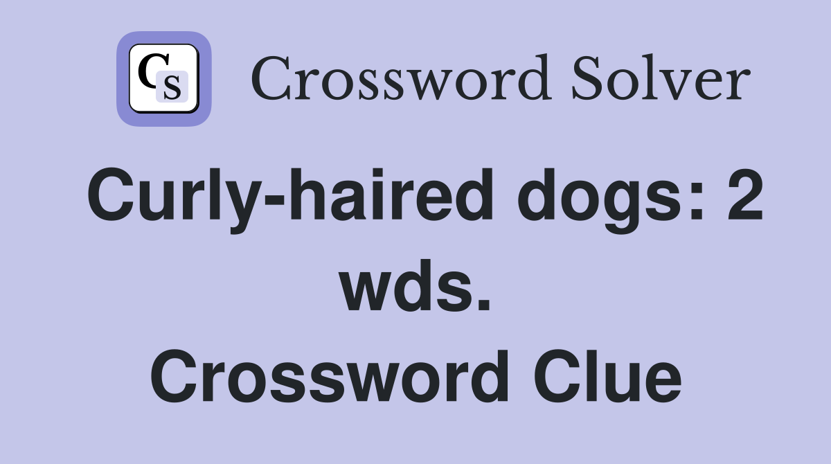 Curly-haired dogs: 2 wds. Crossword Clue