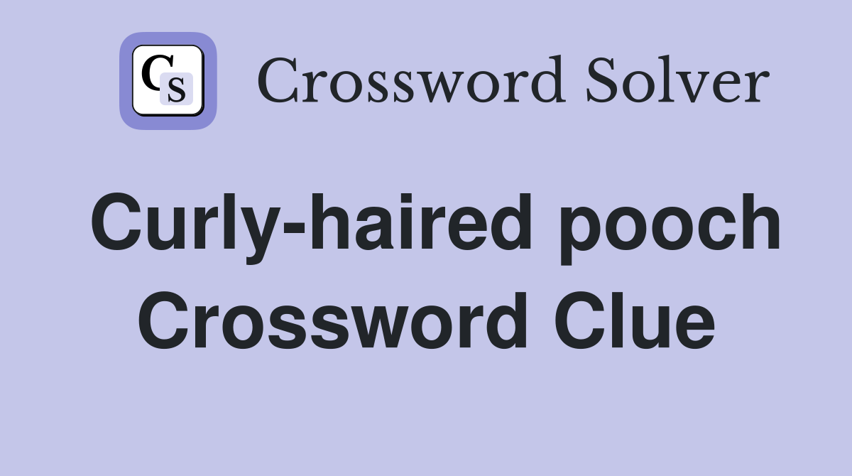 Curly-haired pooch Crossword Clue