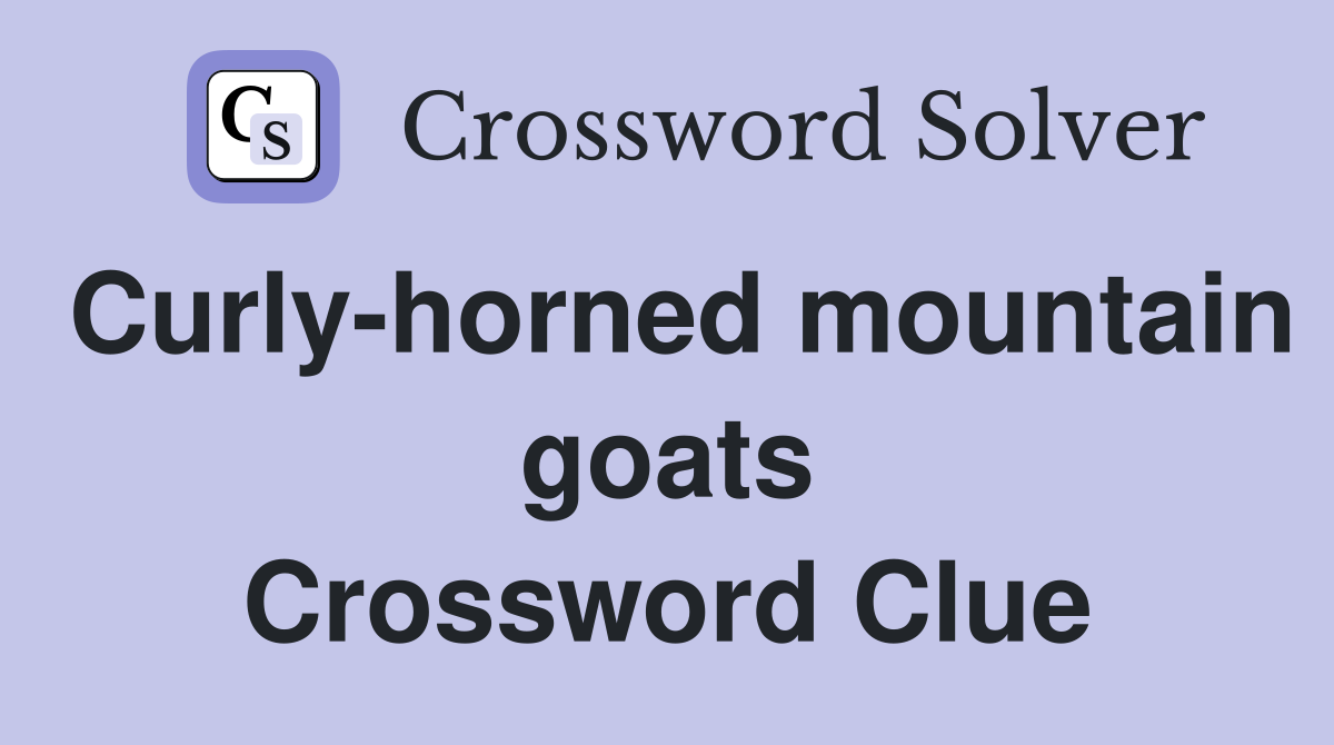 Curly-horned mountain goats Crossword Clue