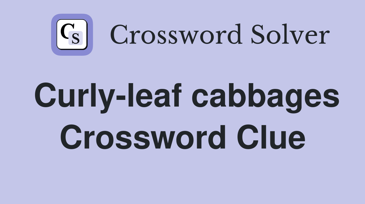 Curly-leaf cabbages Crossword Clue
