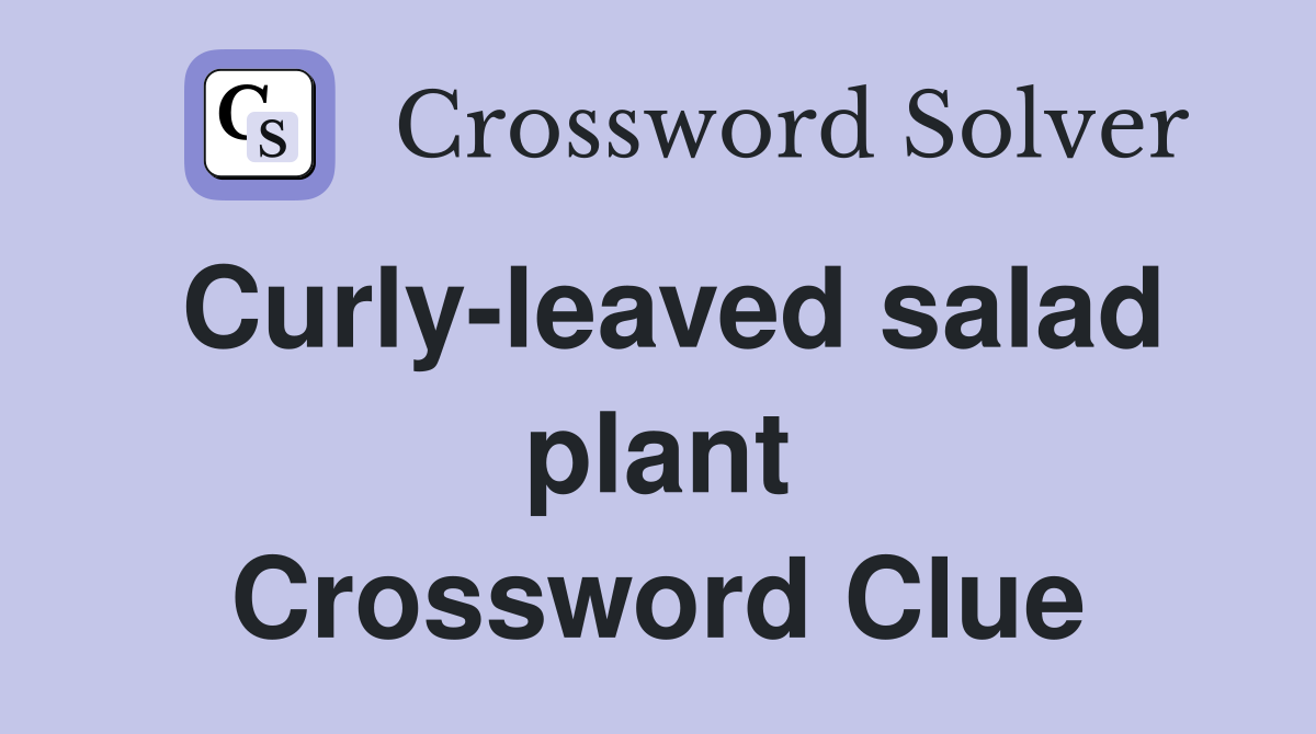 Curly-leaved salad plant Crossword Clue