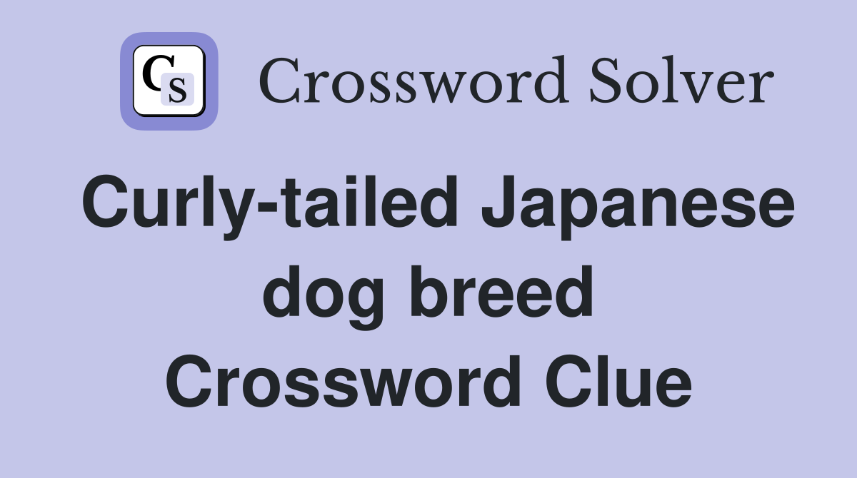 Curly-tailed Japanese dog breed Crossword Clue