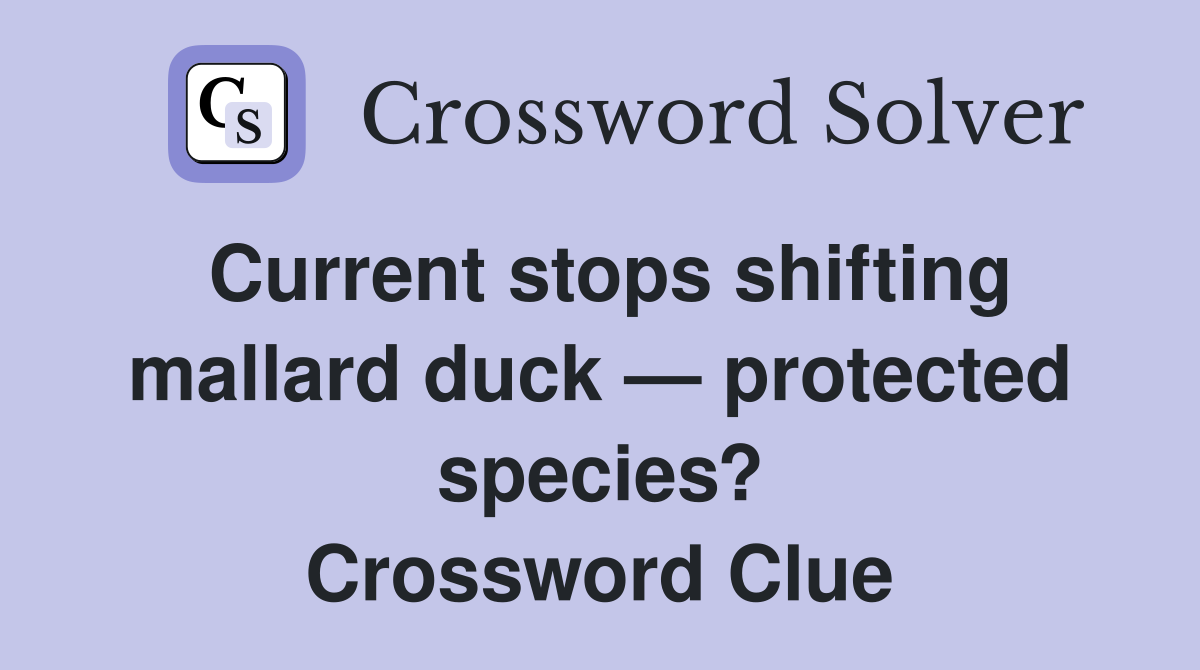 Current stops shifting mallard duck — protected species? Crossword Clue