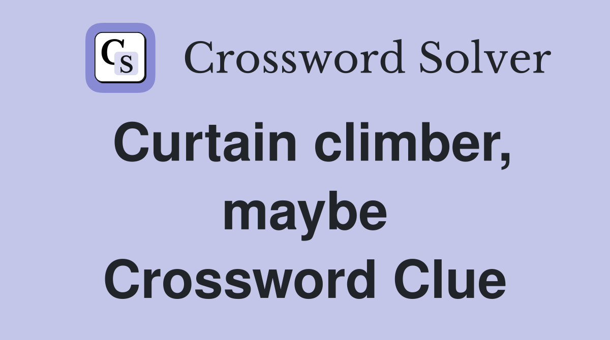 Curtain climber, maybe Crossword Clue