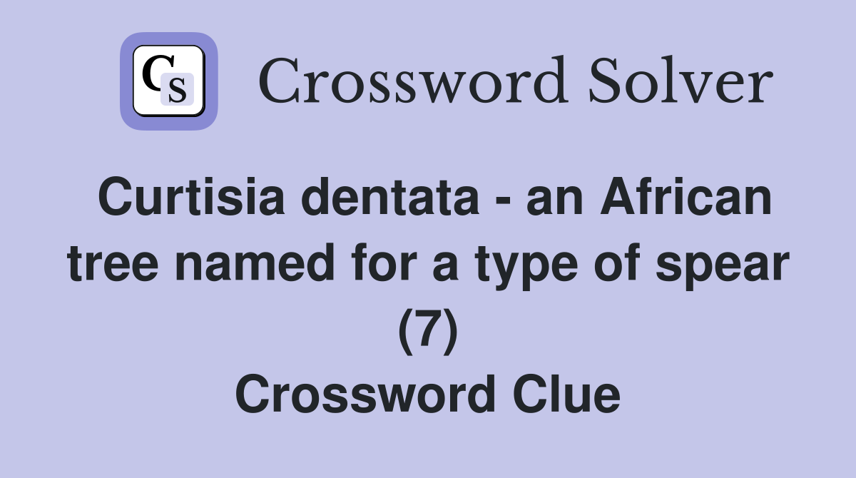 Curtisia dentata - an African tree named for a type of spear (7) Crossword Clue