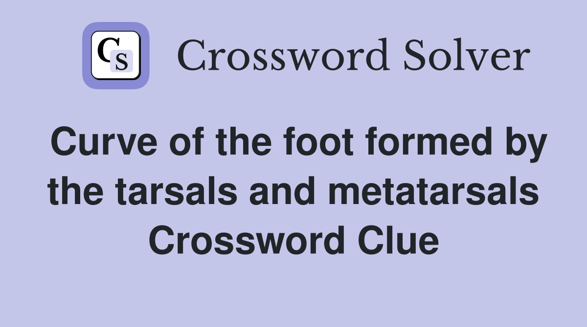 Curve of the foot formed by the tarsals and metatarsals Crossword Clue