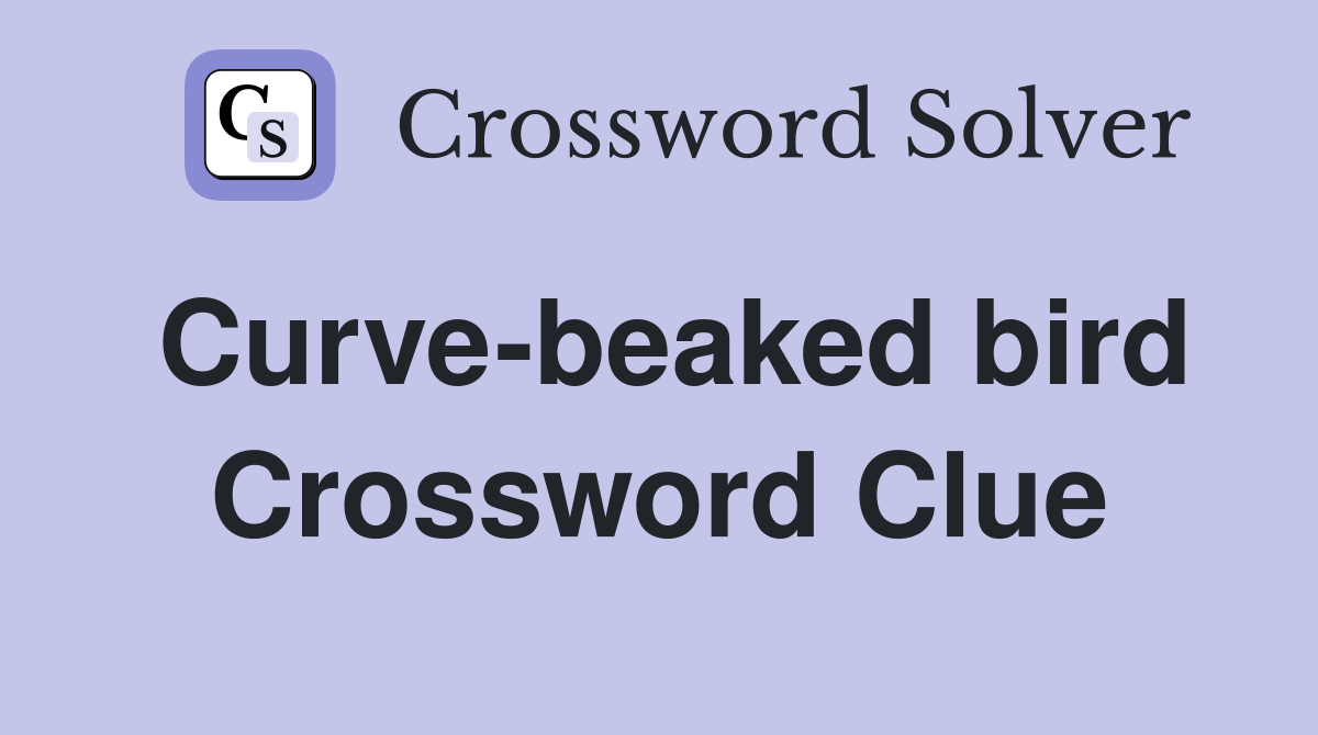 Curve-beaked bird Crossword Clue
