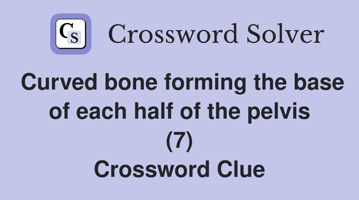 Curved bone forming the base of each half of the pelvis (7) Crossword Clue