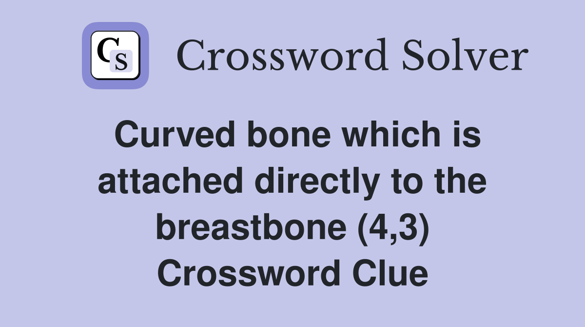 Curved bone which is attached directly to the breastbone (4,3) Crossword Clue