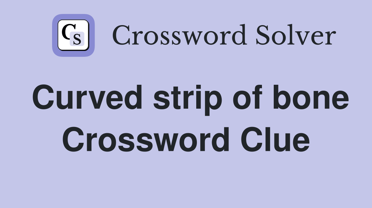 Curved strip of bone Crossword Clue
