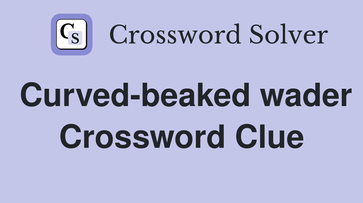 Curved-beaked wader Crossword Clue