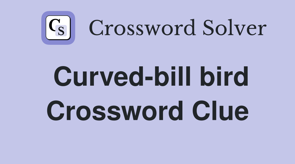 Curved-bill bird Crossword Clue