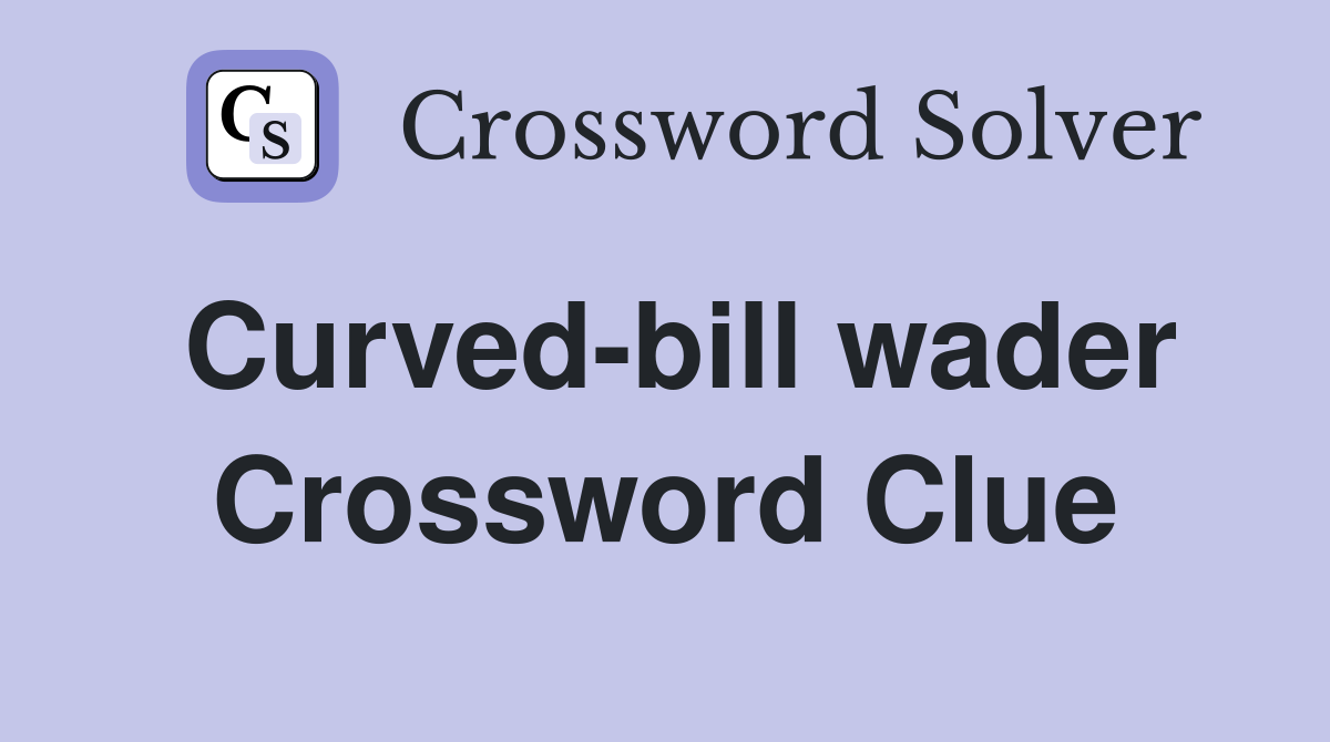 Curved-bill wader Crossword Clue