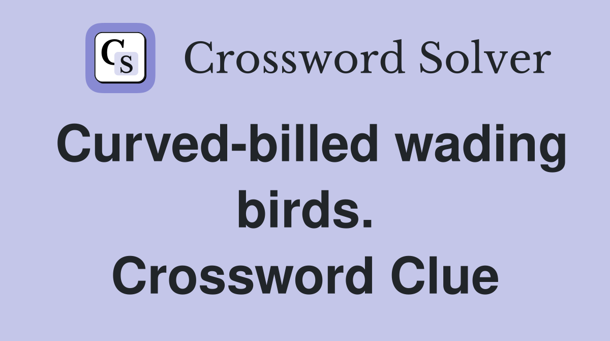 Curved-billed wading birds. Crossword Clue
