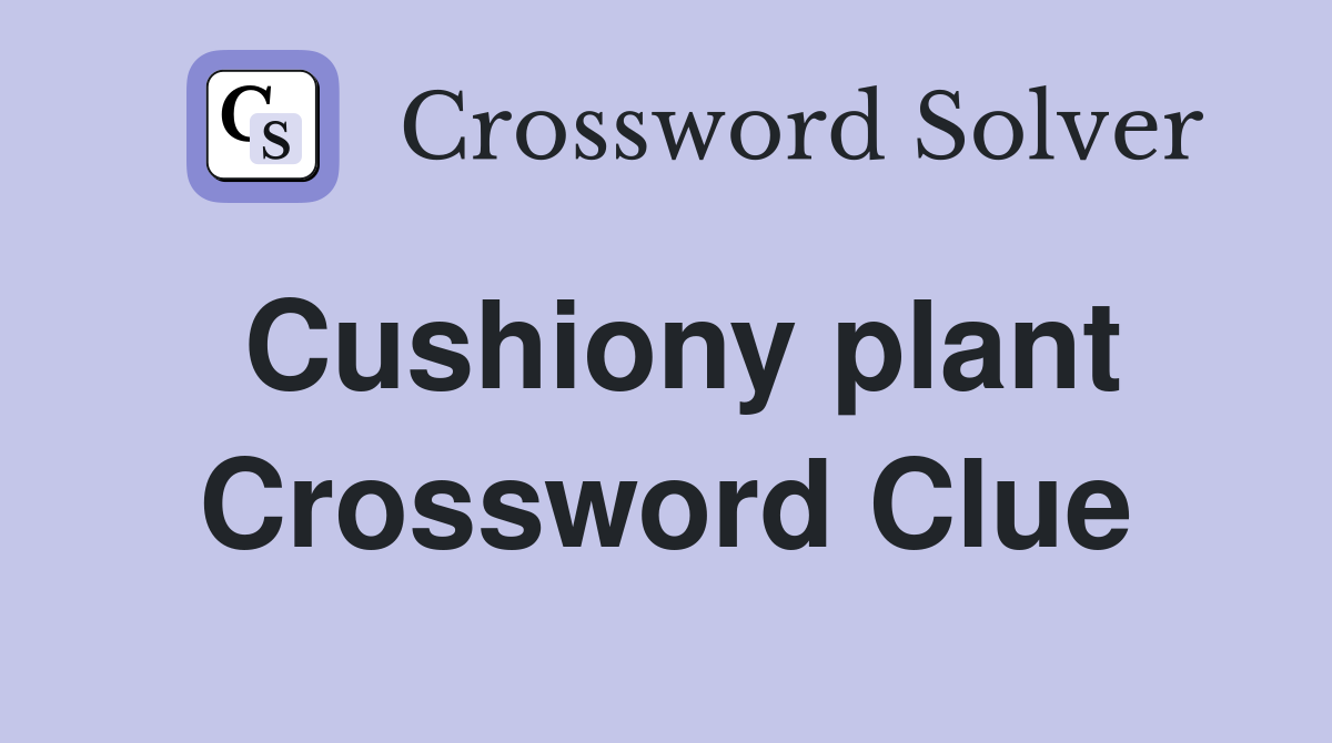 Cushiony plant Crossword Clue