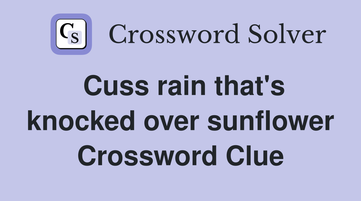 Cuss rain that's knocked over sunflower Crossword Clue