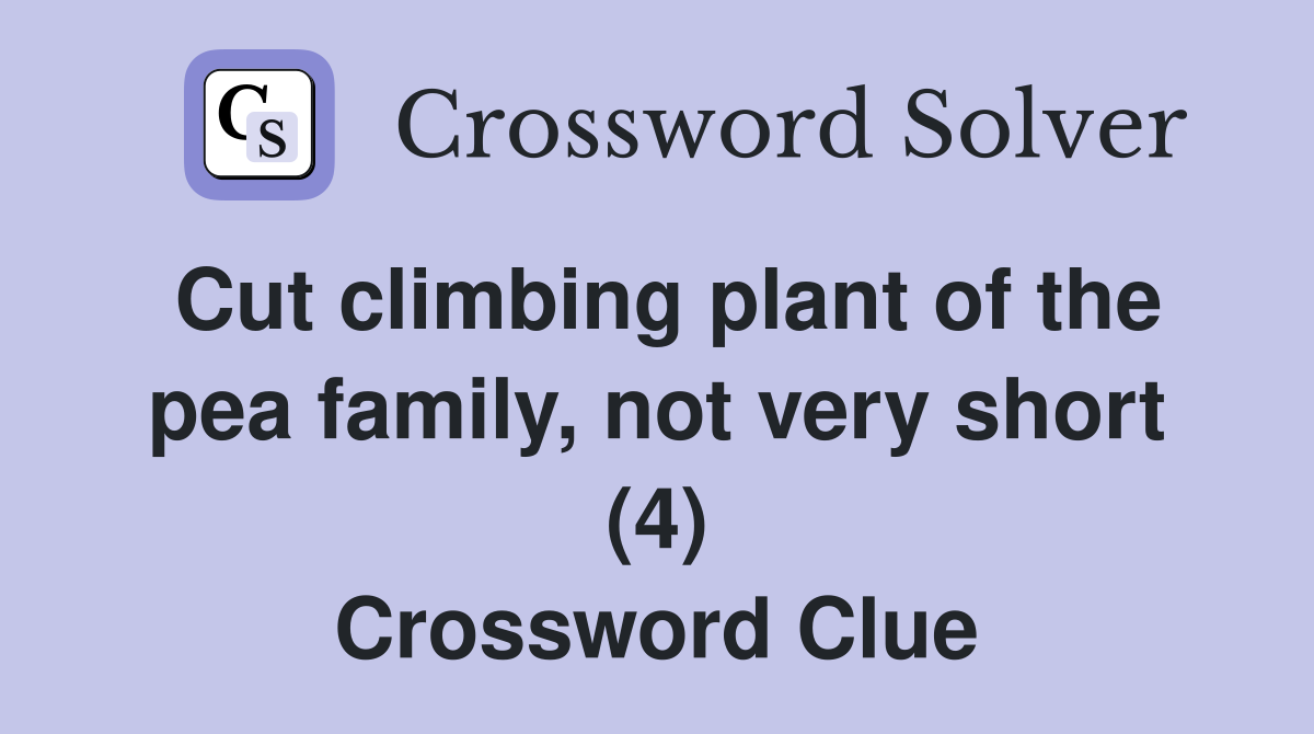 Cut climbing plant of the pea family, not very short (4) Crossword Clue