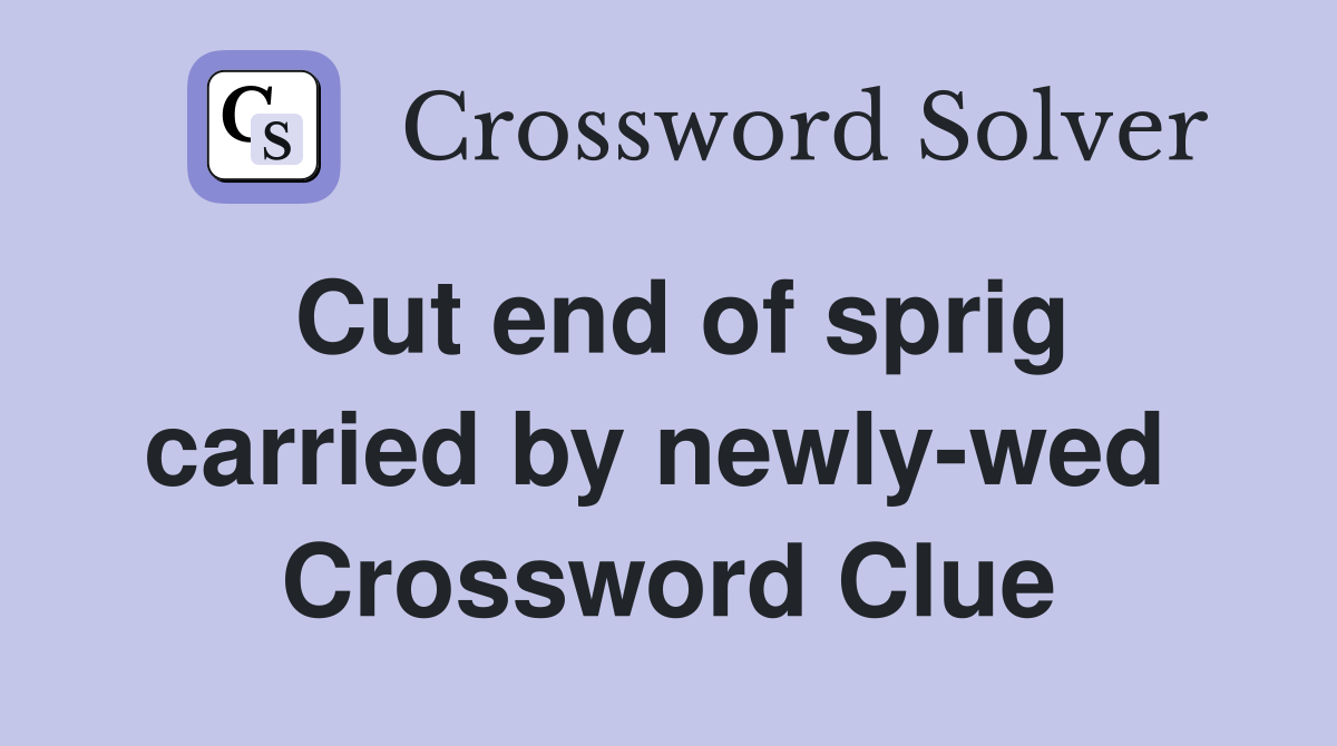 Cut end of sprig carried by newly-wed  Crossword Clue