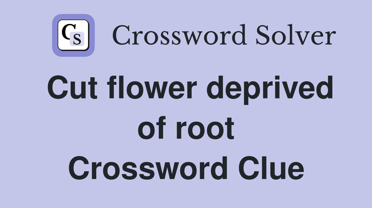 Cut flower deprived of root Crossword Clue